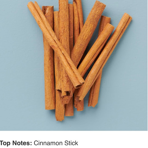 Large YANKEE CANDLE Cinnamon Stick 22 oz - Picture 3 of 12